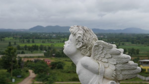 エンジェル投資家とベンチャー企業の成功の秘訣